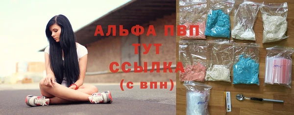 соль ск Каменногорск