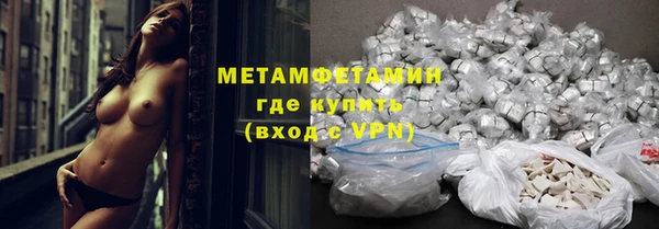 прущие грибы Каменск-Шахтинский
