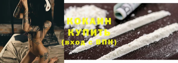 соль ск Каменногорск