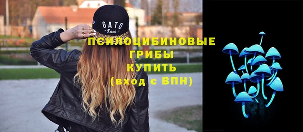 ешки Каменка
