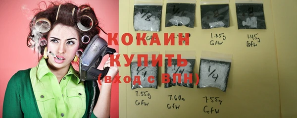 соль ск Каменногорск