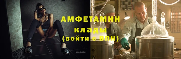 прущие грибы Каменск-Шахтинский