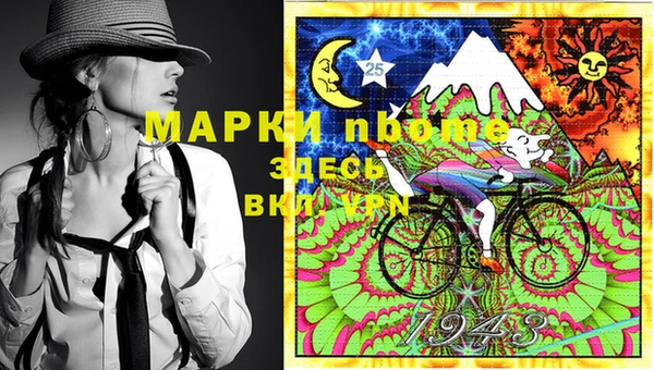 прущие грибы Каменск-Шахтинский
