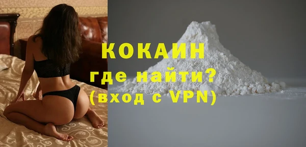 прущие грибы Каменск-Шахтинский