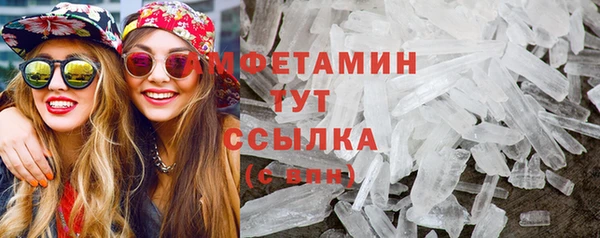 прущие грибы Каменск-Шахтинский