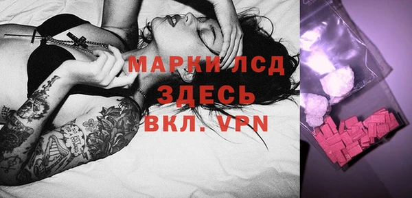 прущие грибы Каменск-Шахтинский