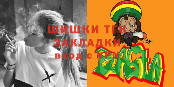 прущие грибы Каменск-Шахтинский