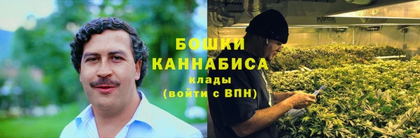 прущие грибы Каменск-Шахтинский