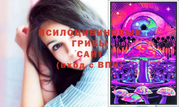 ешки Каменка